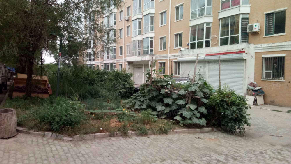 绿波家园小区图片