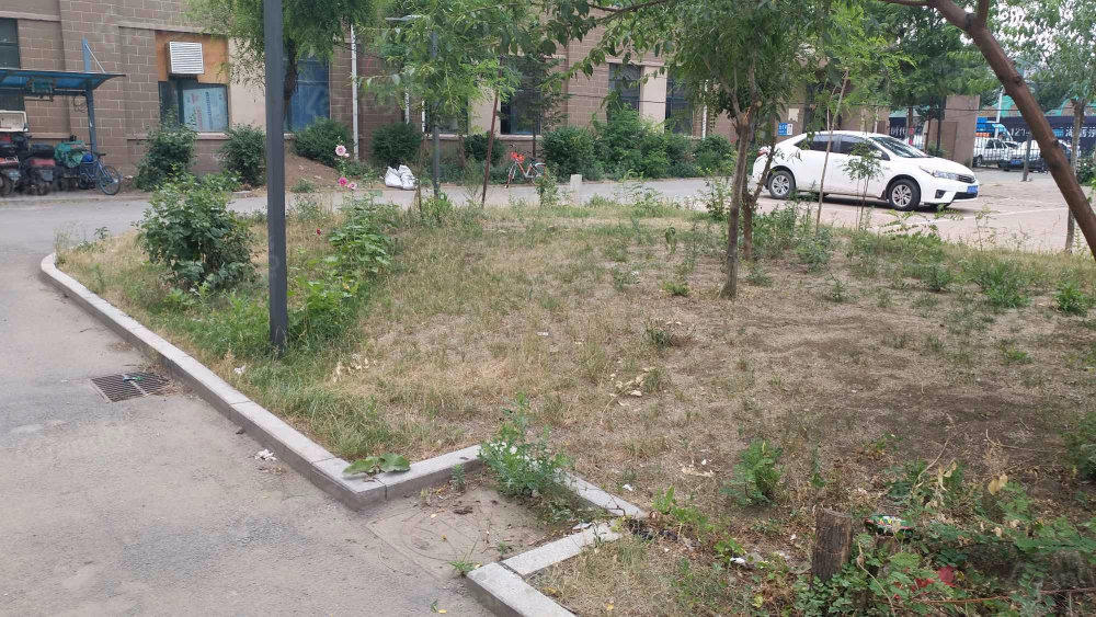 望湖丽园小区图片