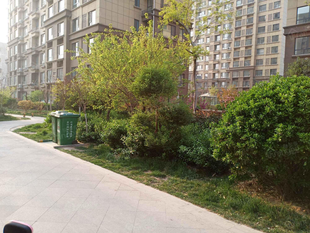 中巨一品家苑图片