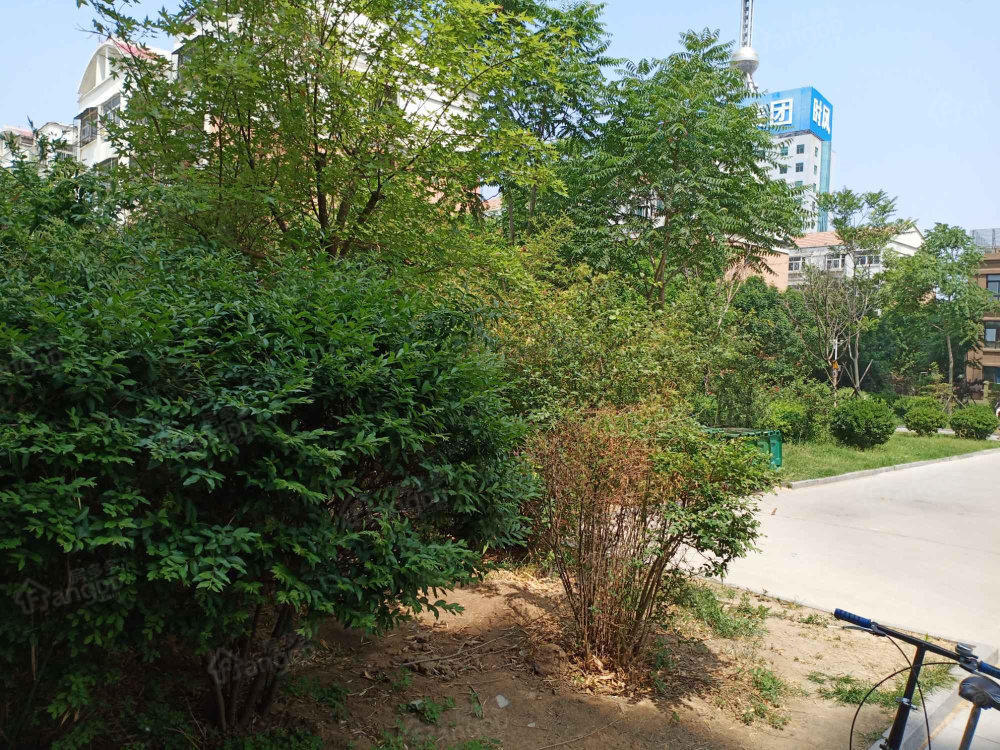 中奕士林名邸小区图片