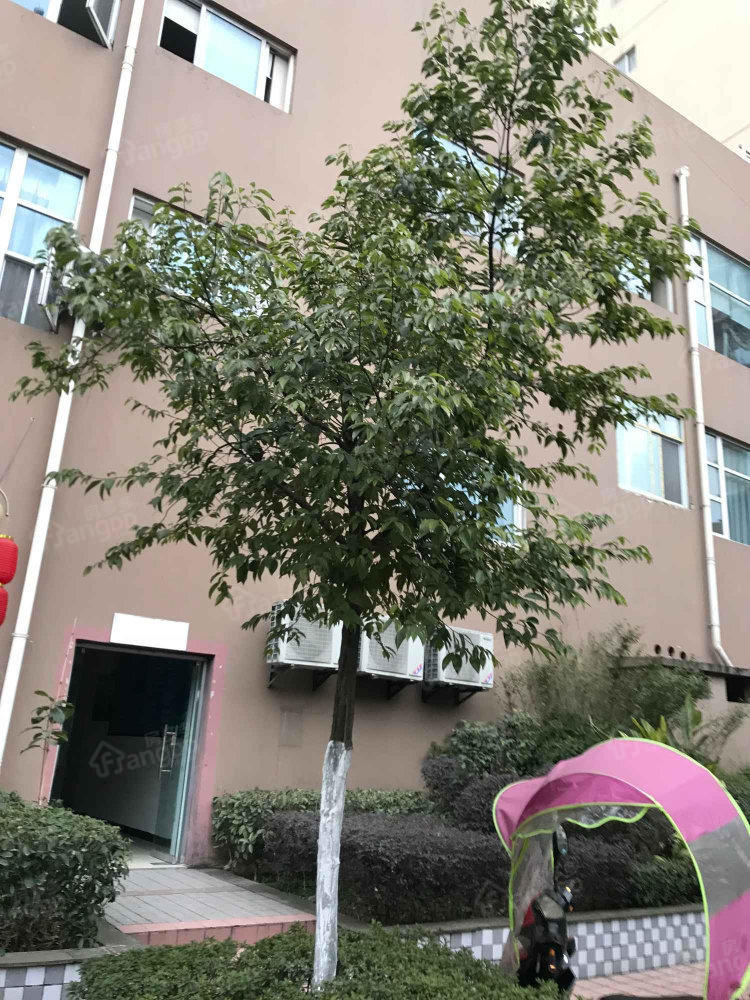 北城双星小区图片