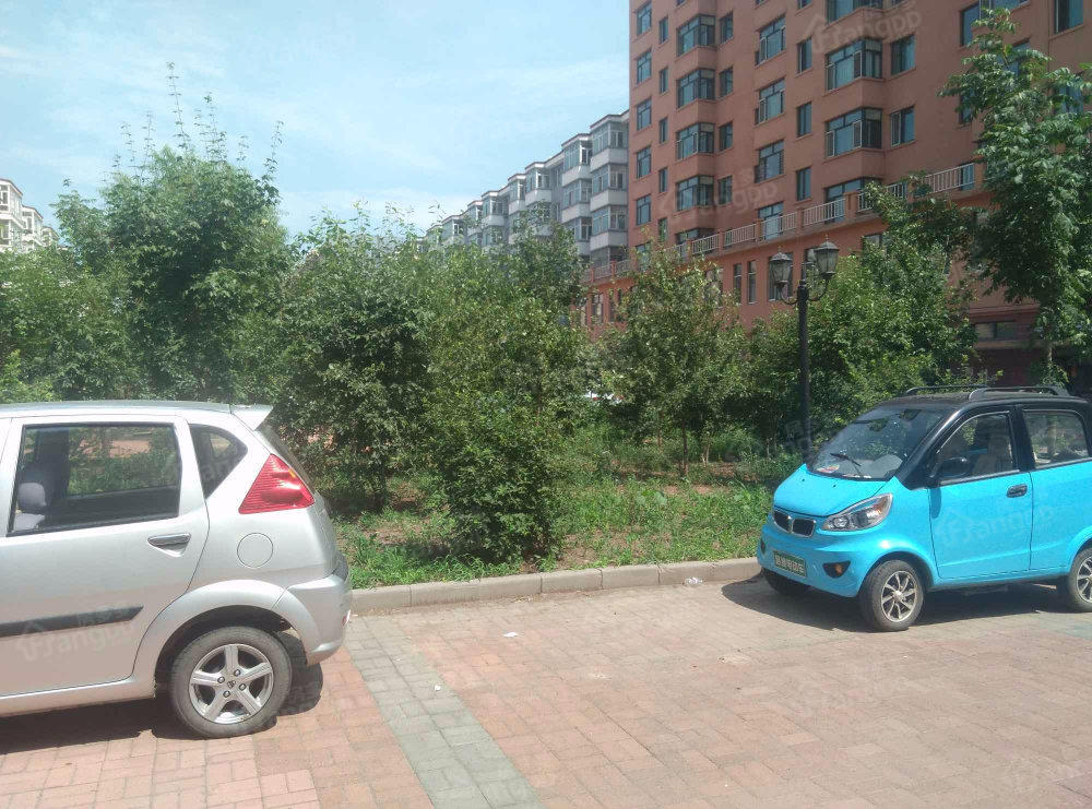 协和公寓小区图片