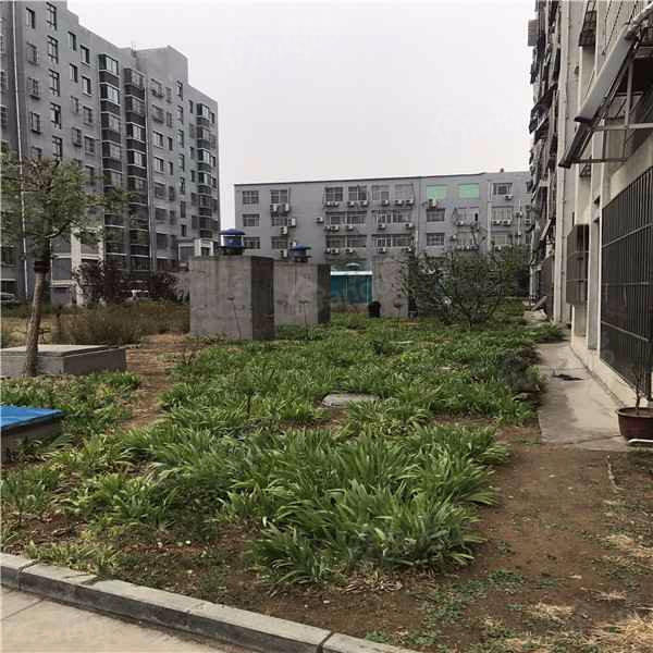 迎胜D区图片