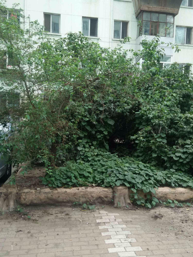 承德街小区小区图片