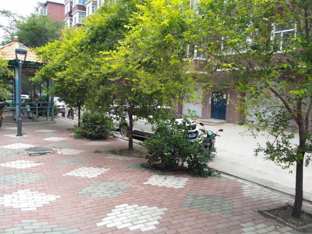 迎宾佳园小区图片
