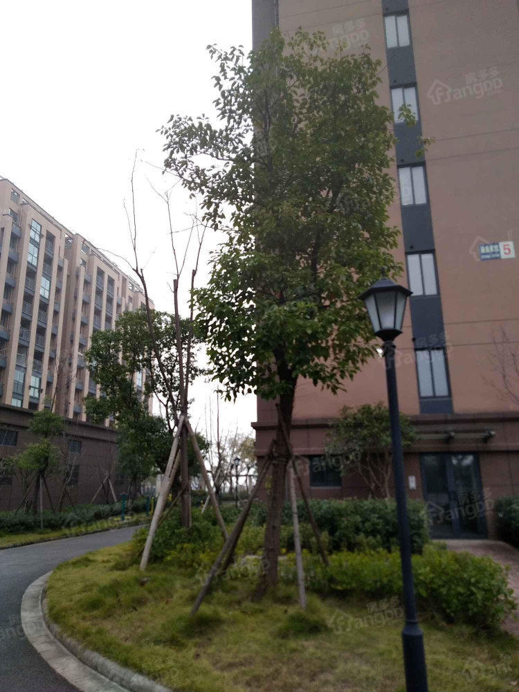 德盛家园小区图片