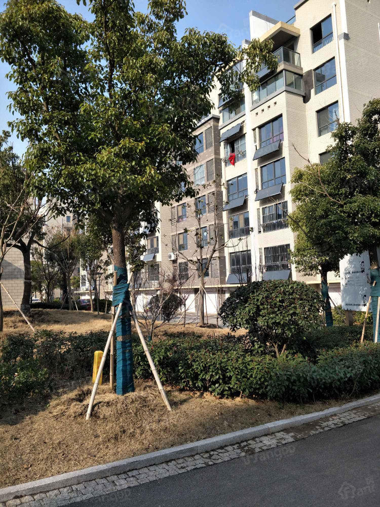 梧桐蓝山朗园小区图片