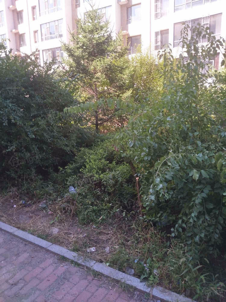 佳隆·千禧A区小区图片