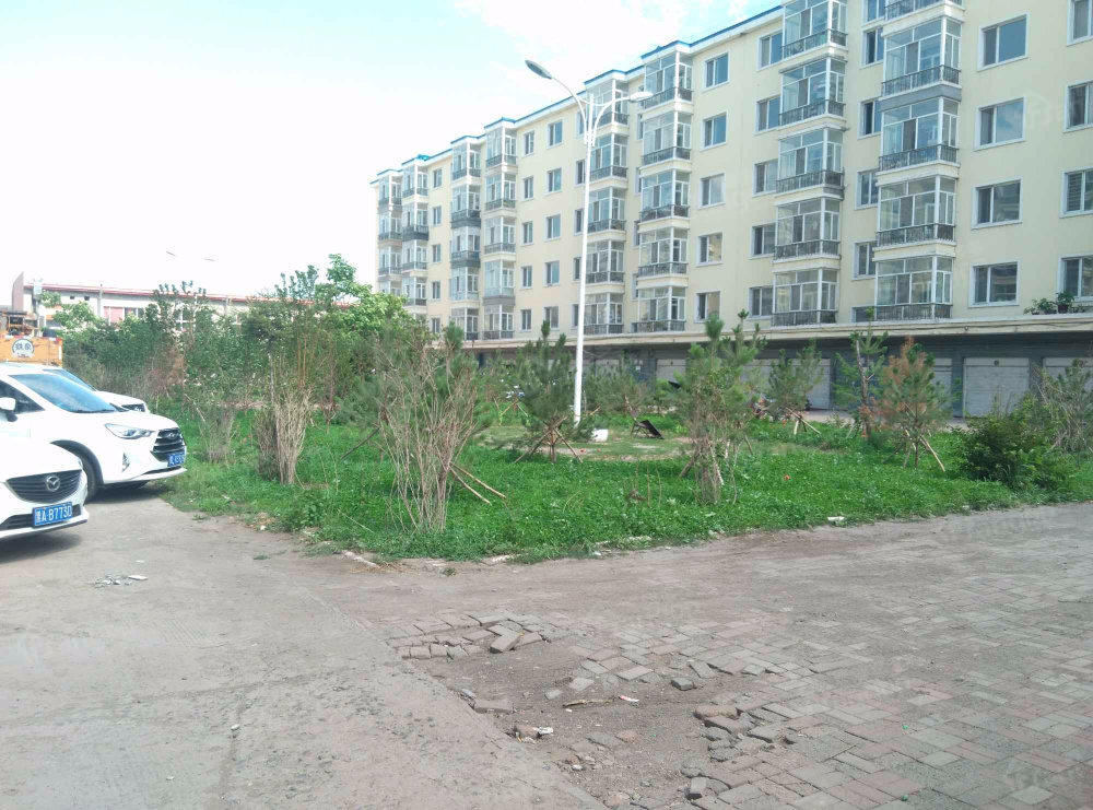 电业小区(巴彦县)小区图片