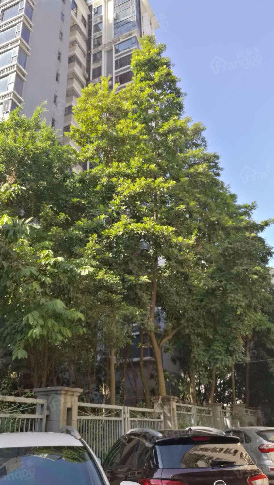 金鸡岭小区小区图片