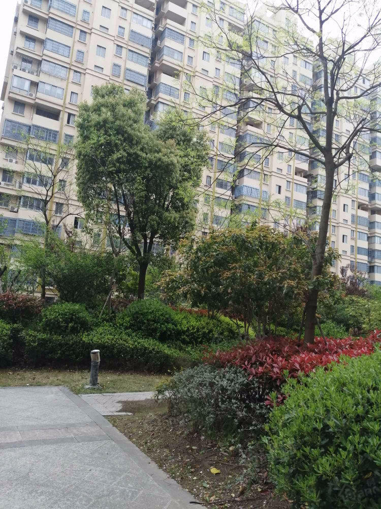 龙鼎瑞园小区图片