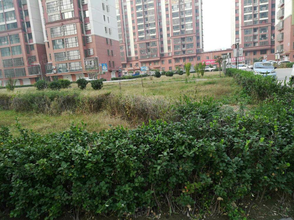胜芳园小区图片