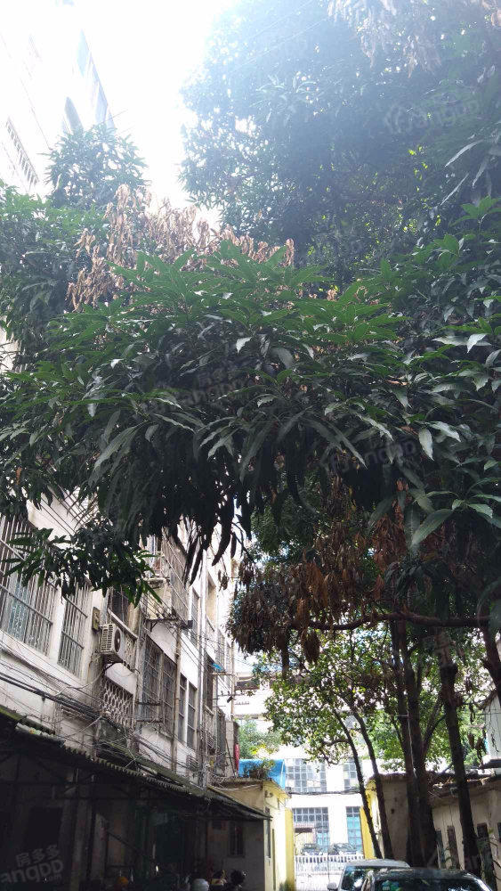 壮宁公司宿舍小区图片
