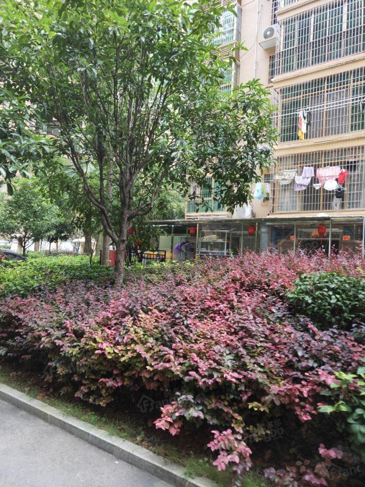 龙锦山庄小区图片