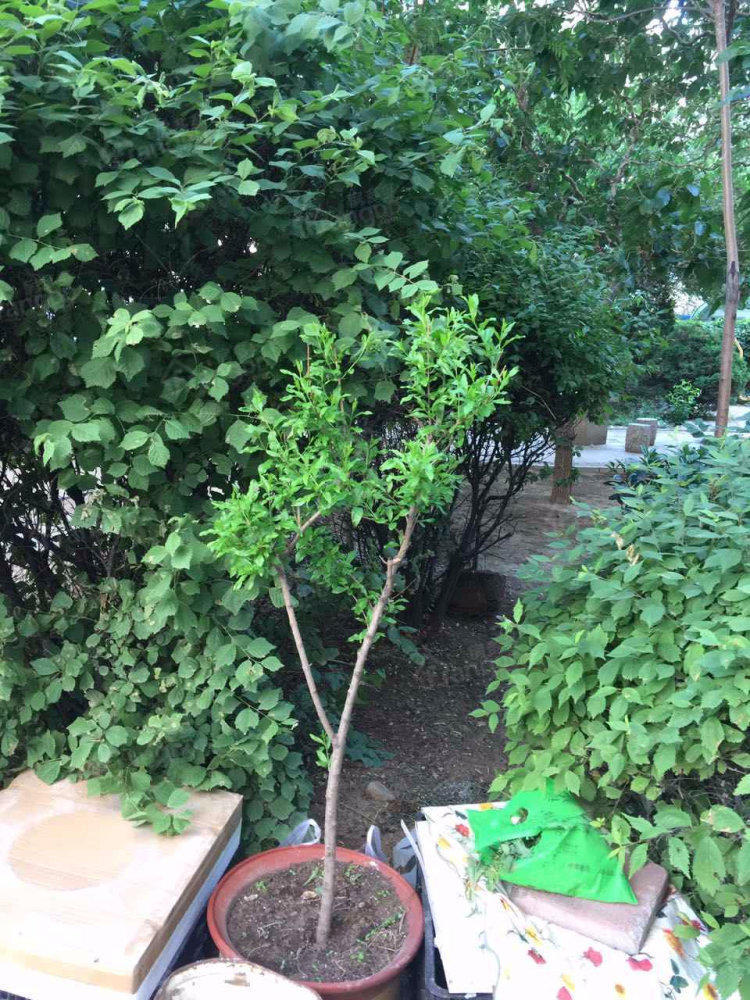 三博大厦小区图片