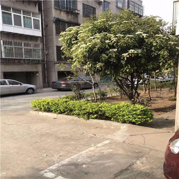 交通局单位房小区图片