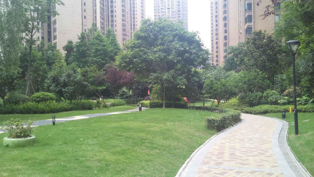 鲁能星城六街区小区图片