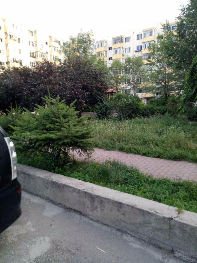 哈药小区(西区)小区图片
