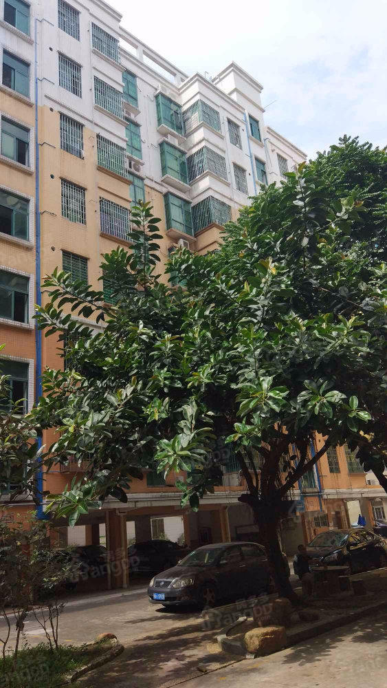 荔翠苑小区图片