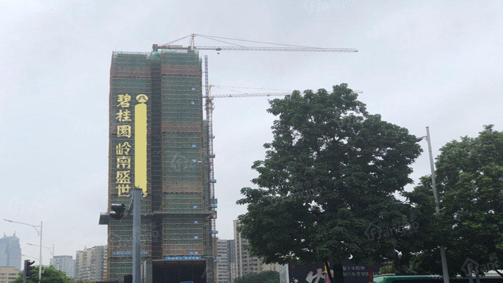 碧桂园岭南盛世小区图片
