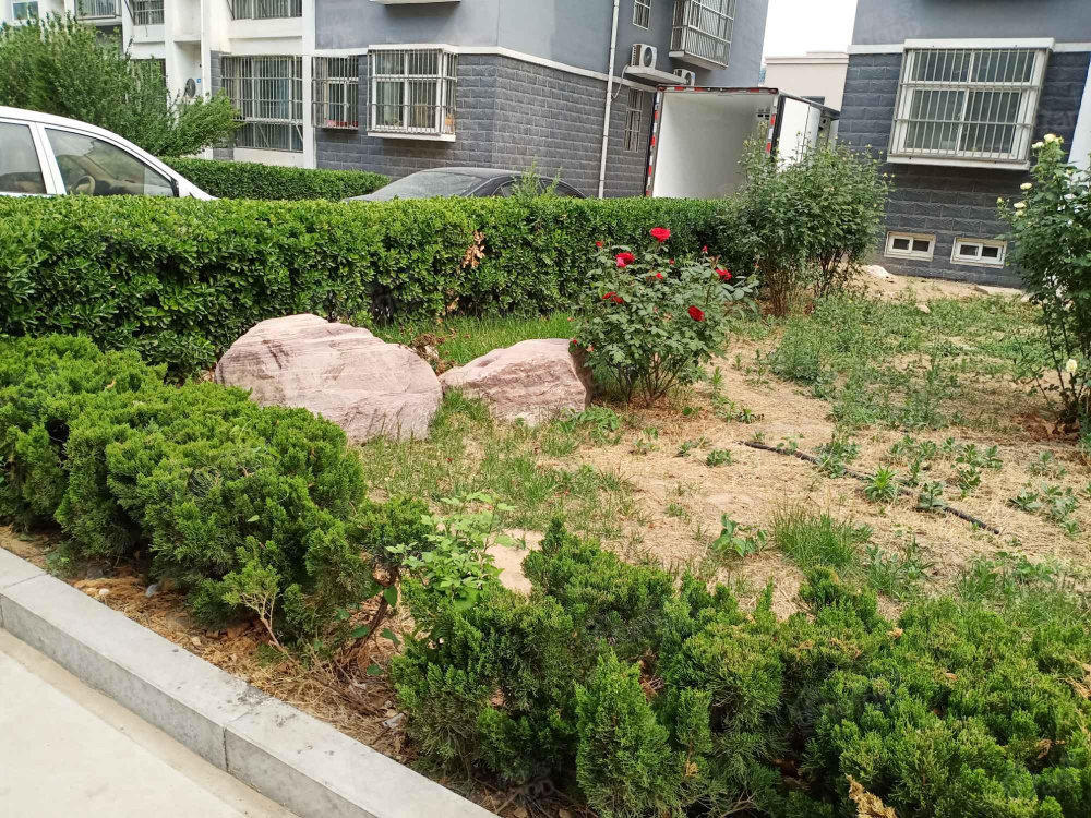 天泰华庭小区图片