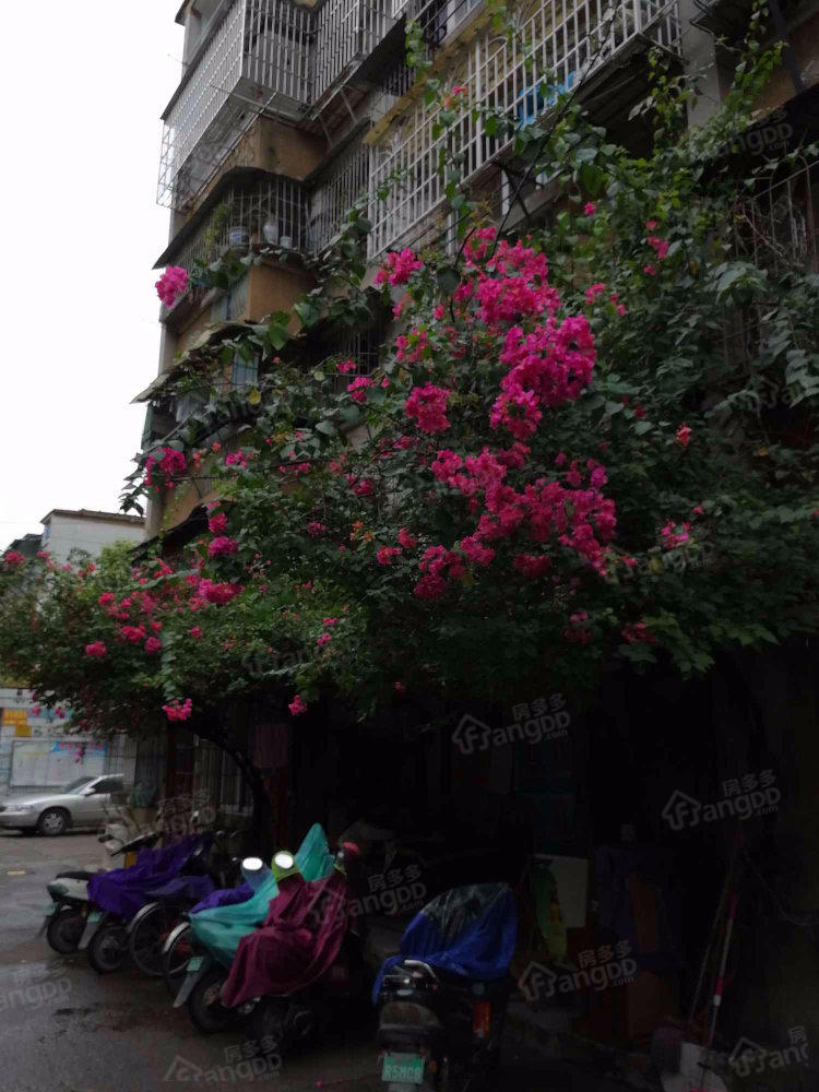 沈阳小区小区图片