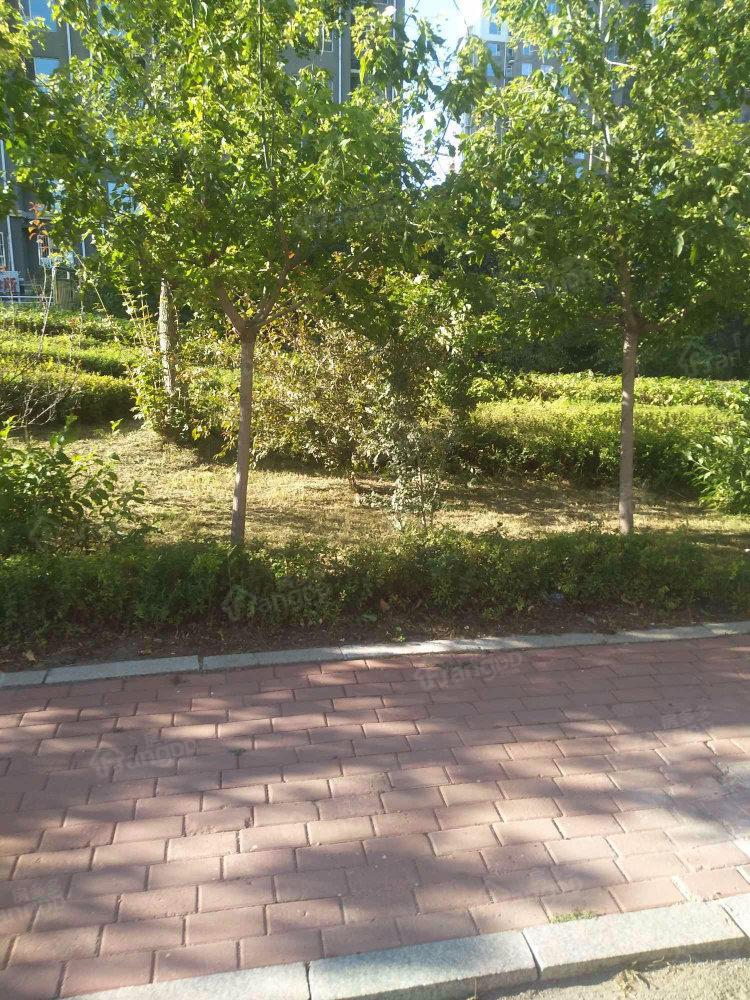 嘉鹏水岸城小区图片