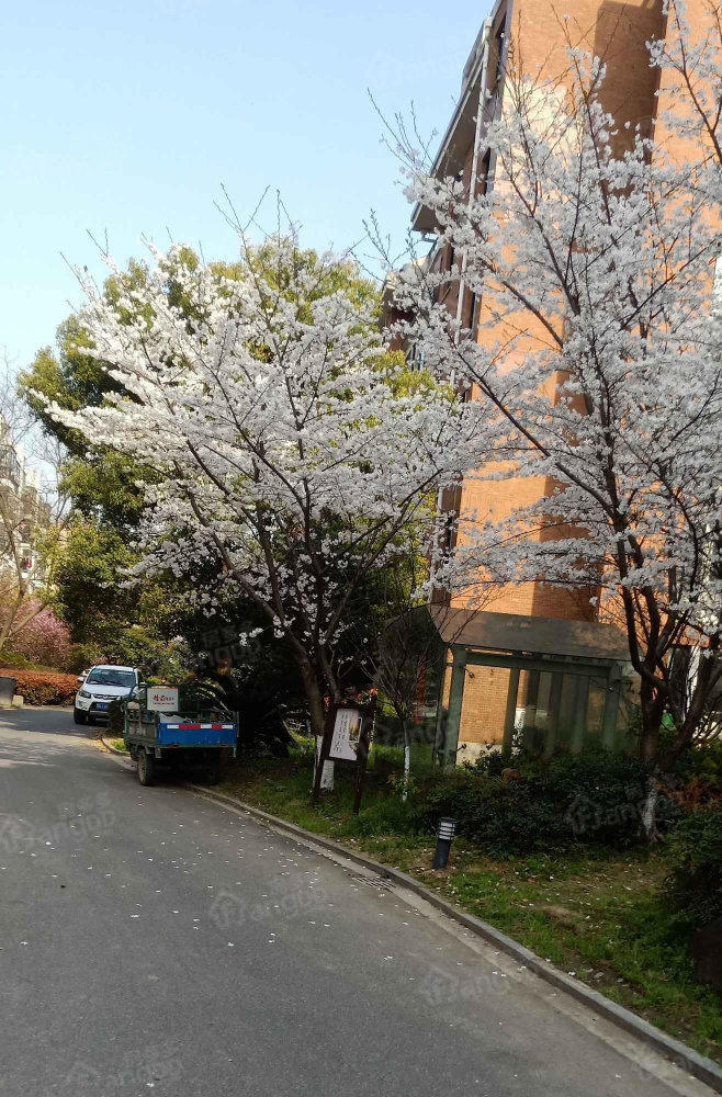 西城桐秦水岸小区图片