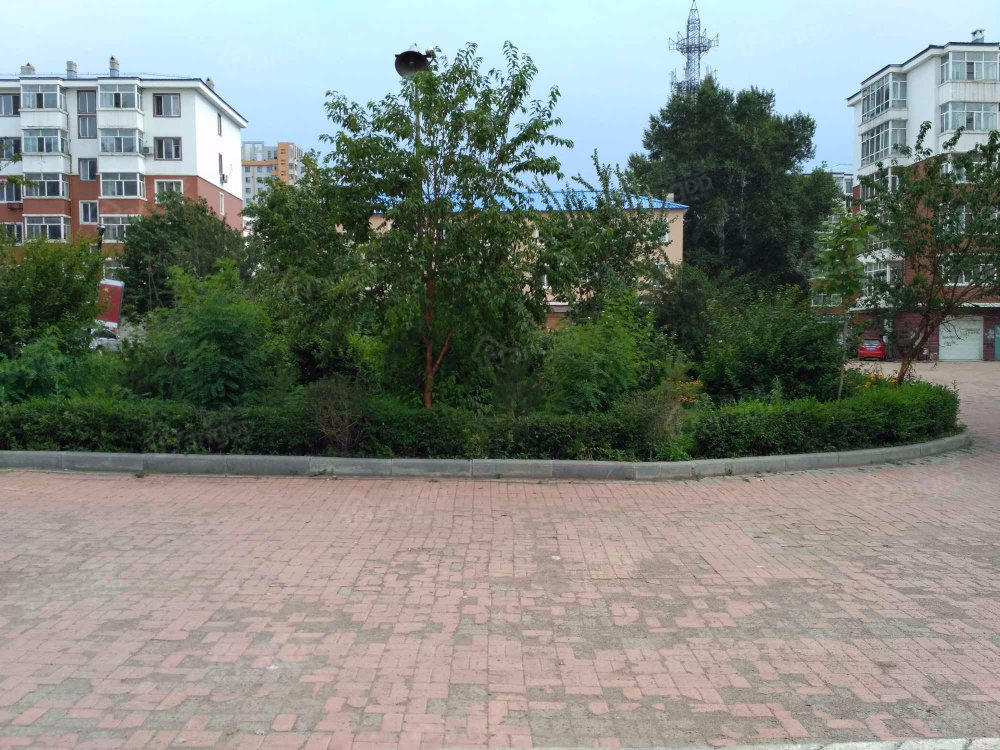 同庆小区小区图片