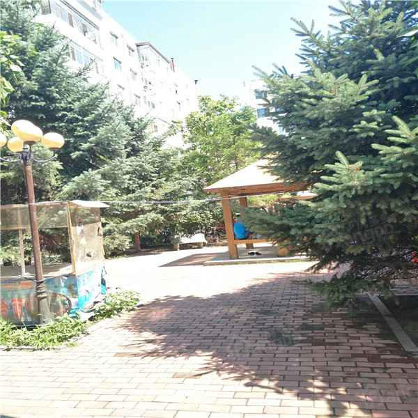 新发小区(南区)小区图片