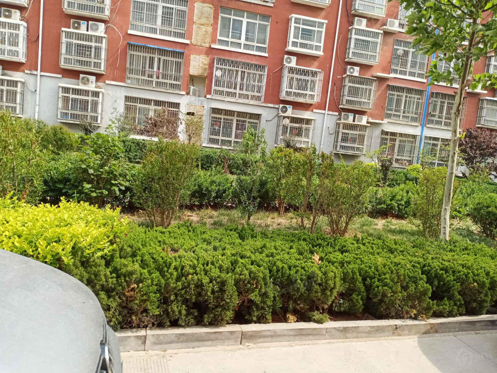 顺德和园小区图片