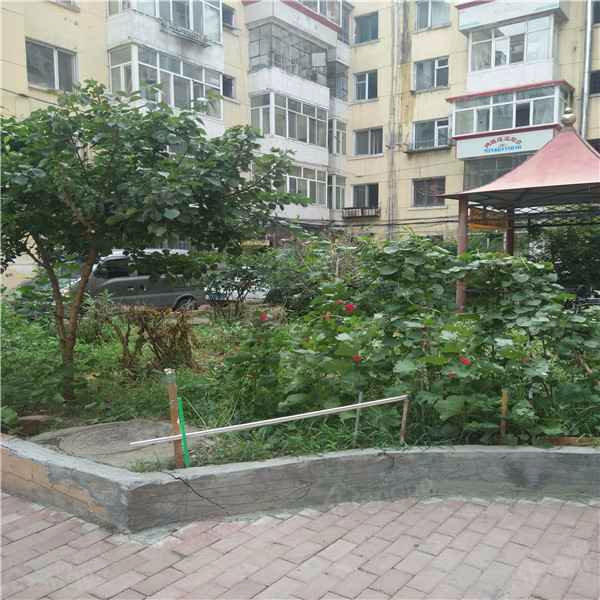 红霞街小区图片