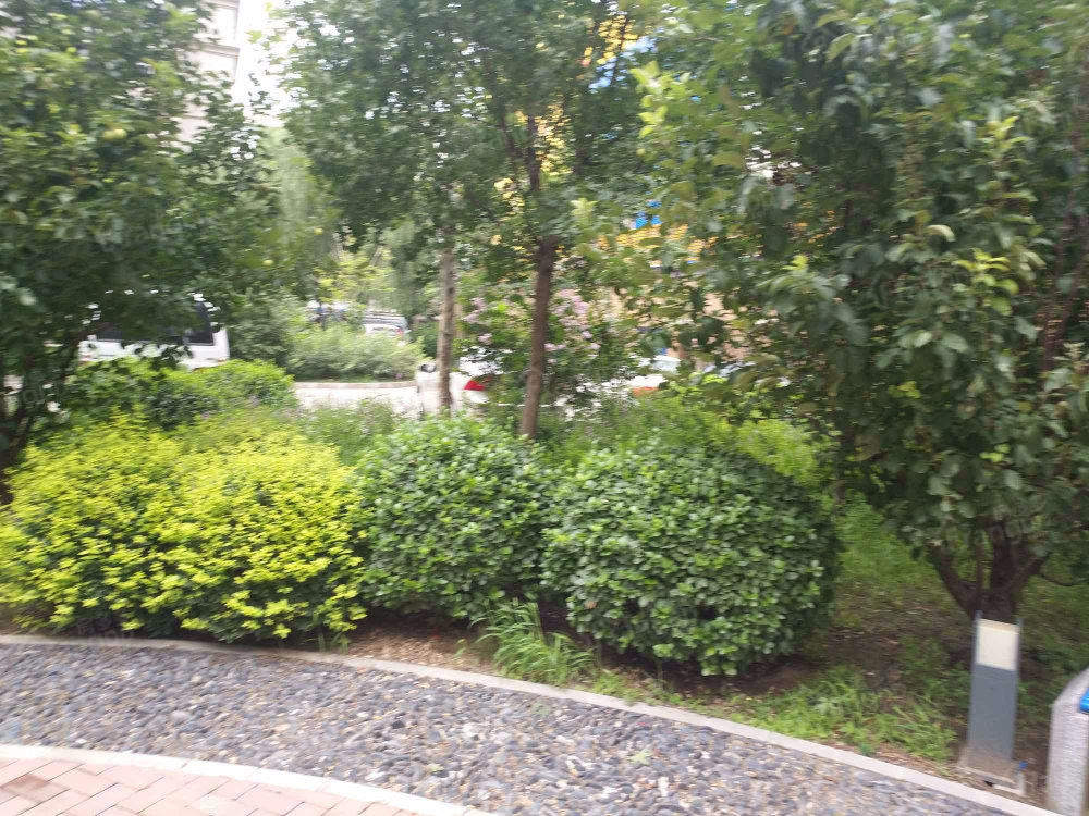 天怡福园小区图片