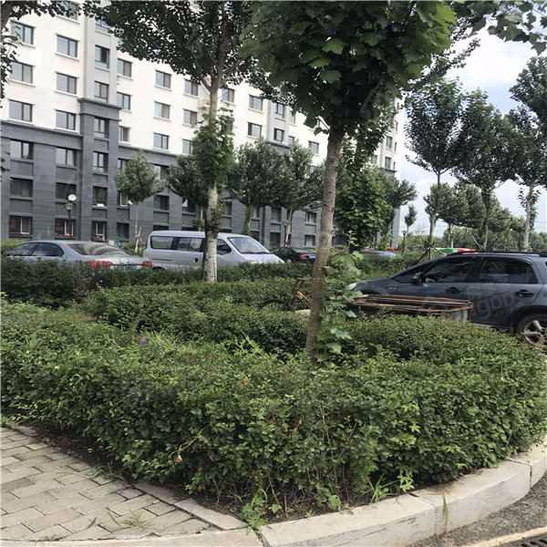 北岸兴和城小区图片
