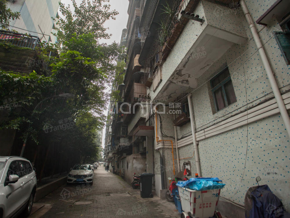 天龙路11号小区图片