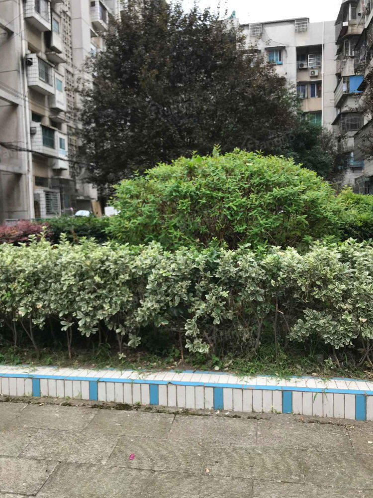 怡园小区小区图片