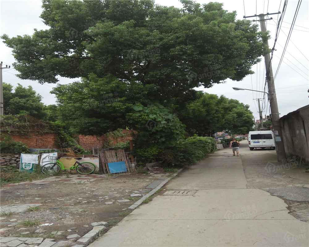 浦前小区小区图片