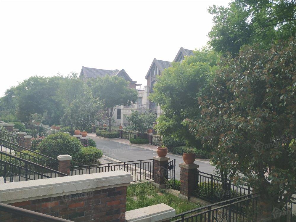 绿地泰晤士新城(别墅)小区图片