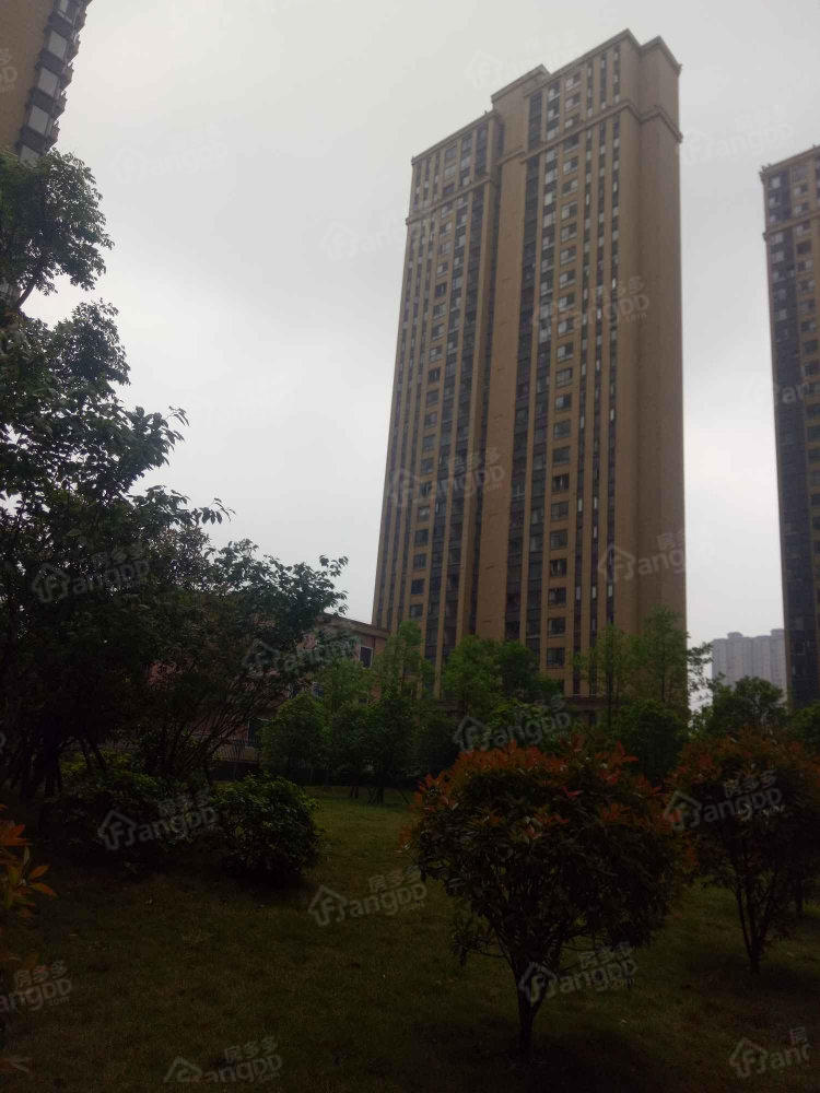 岳阳新天地小区图片