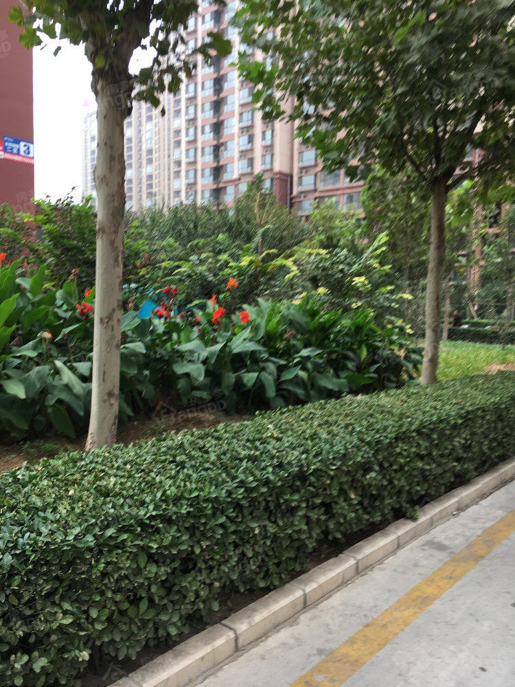 长宏锦园二区小区图片