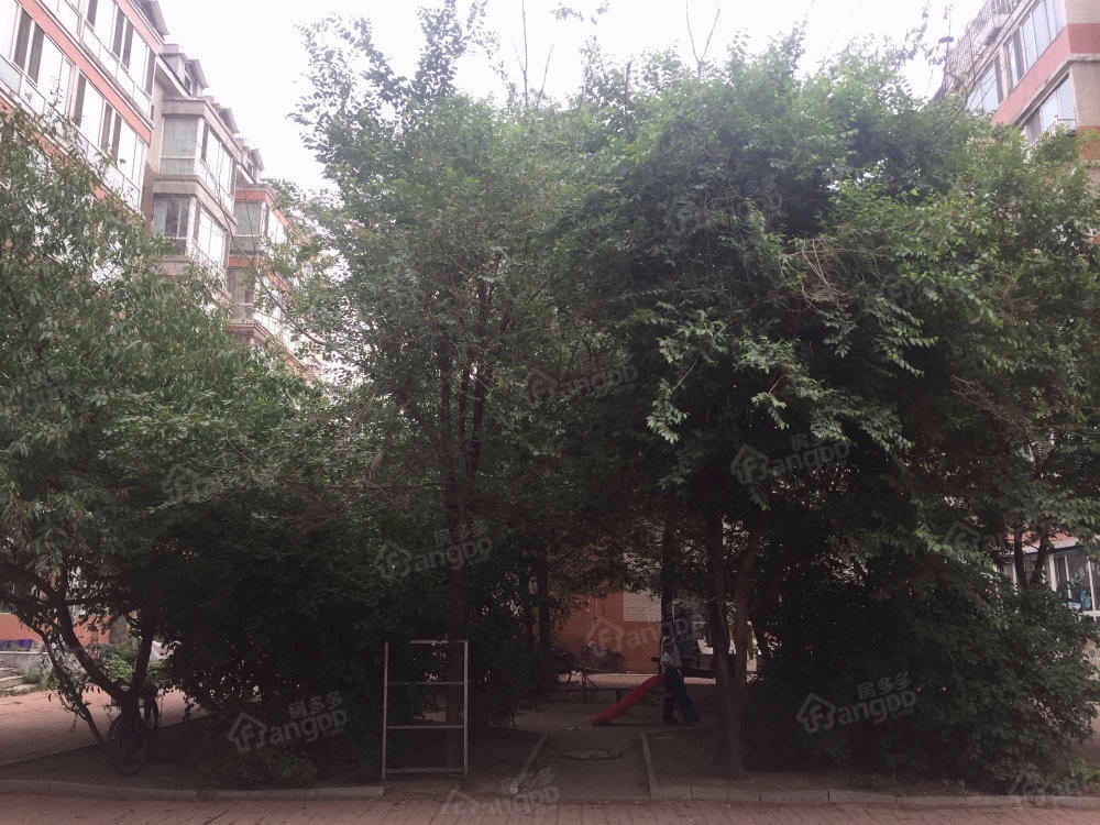 宏泽园小区小区图片