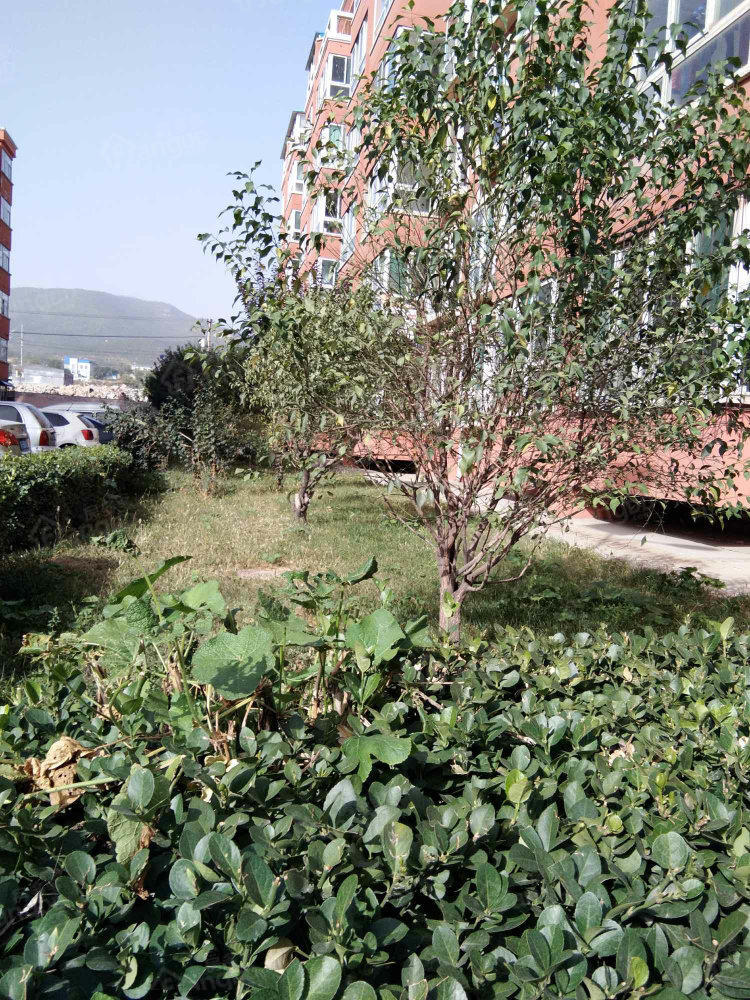 和谐佳园小区图片
