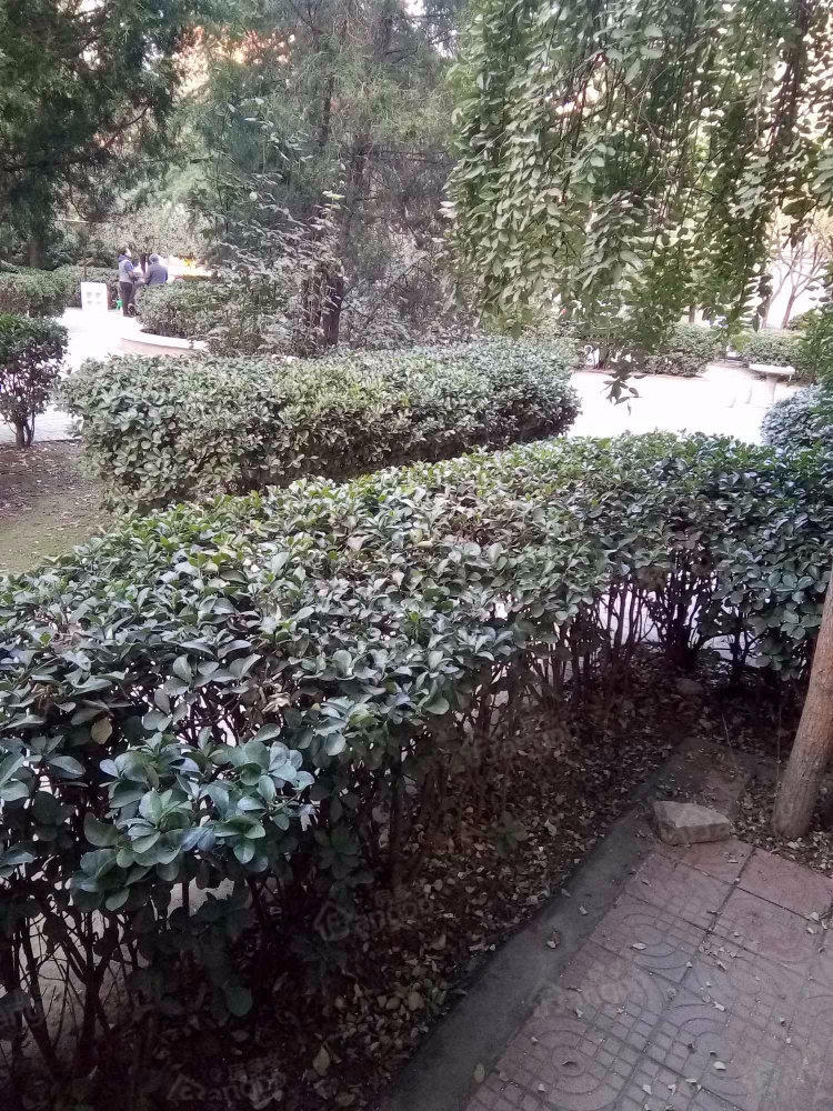 市园林局宿舍小区图片