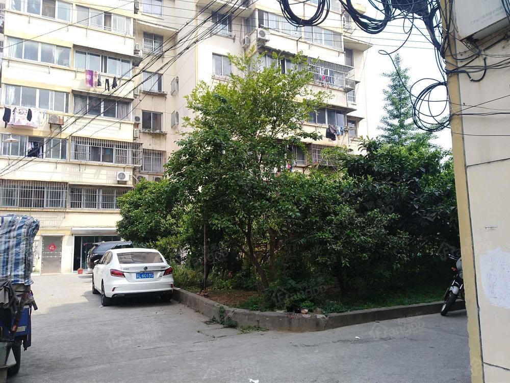东吴路161号小区图片