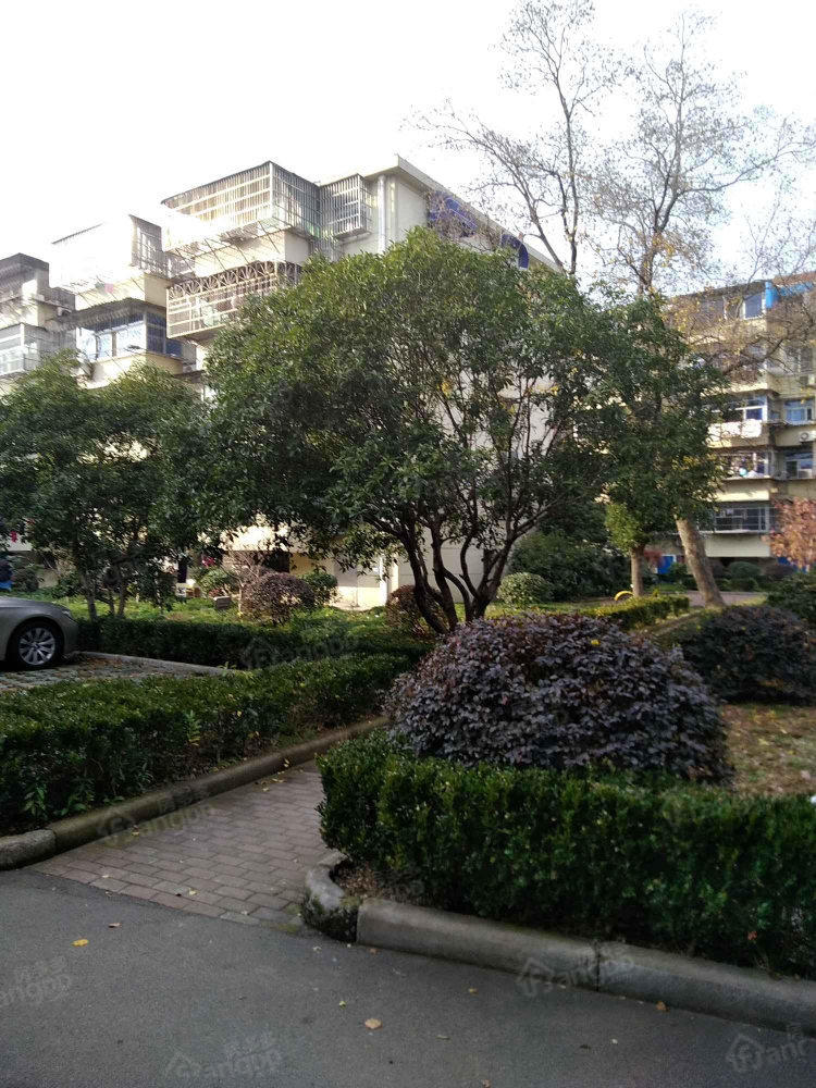 金南小区小区图片