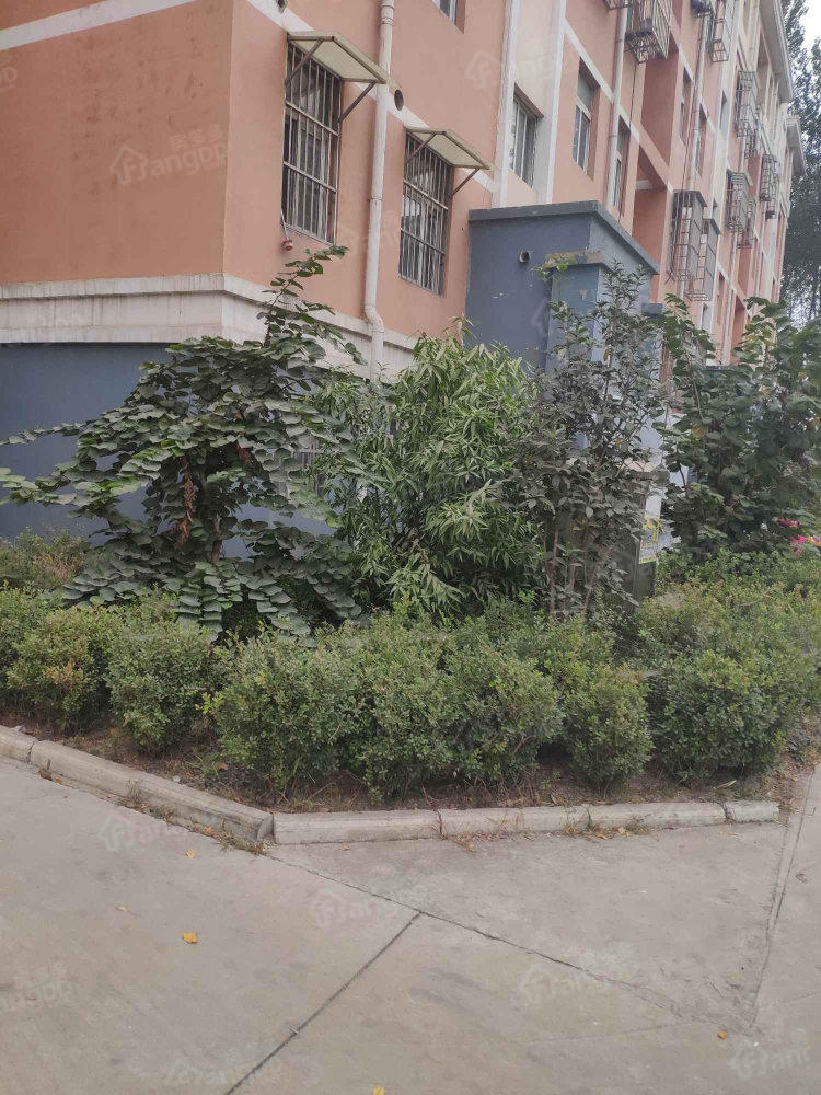 紫运花园小区图片