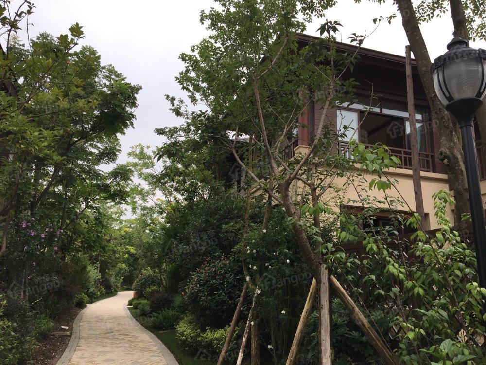 宝信青城小区图片