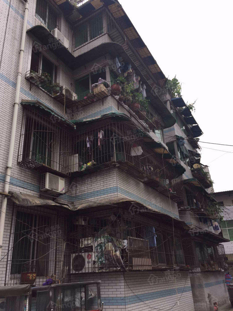 金丰苑小区图片