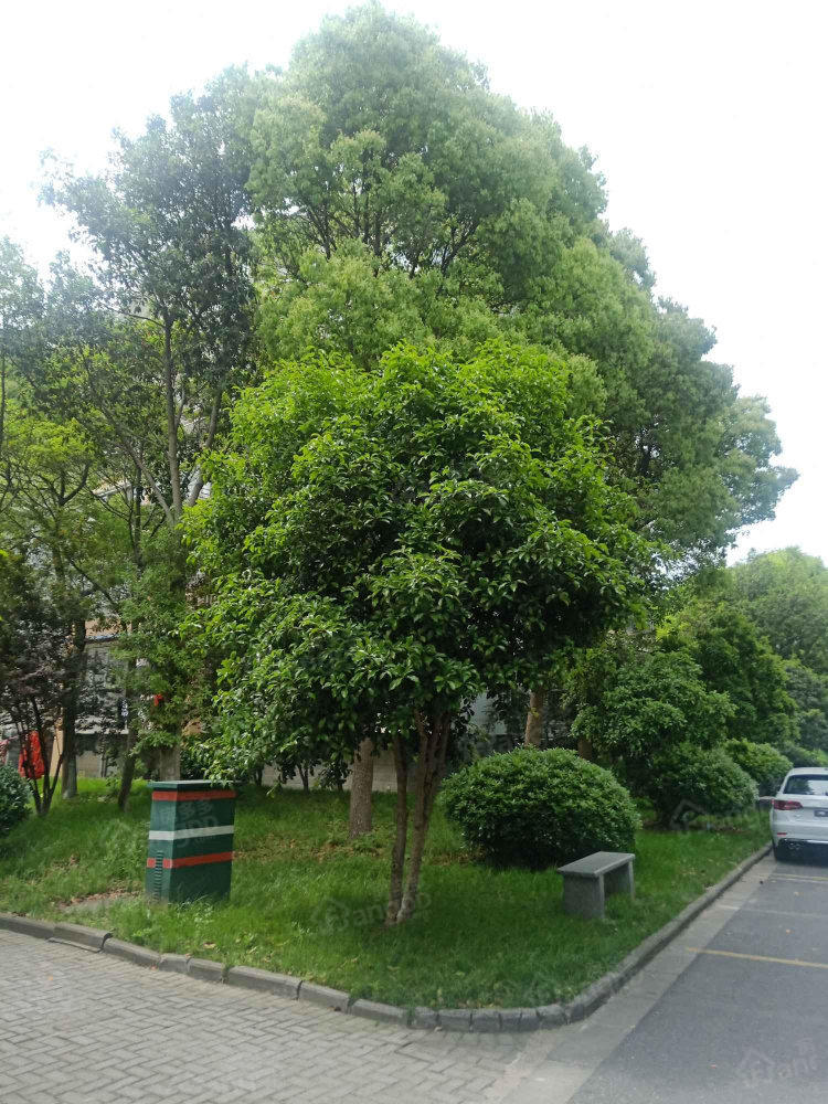 启元小区小区图片