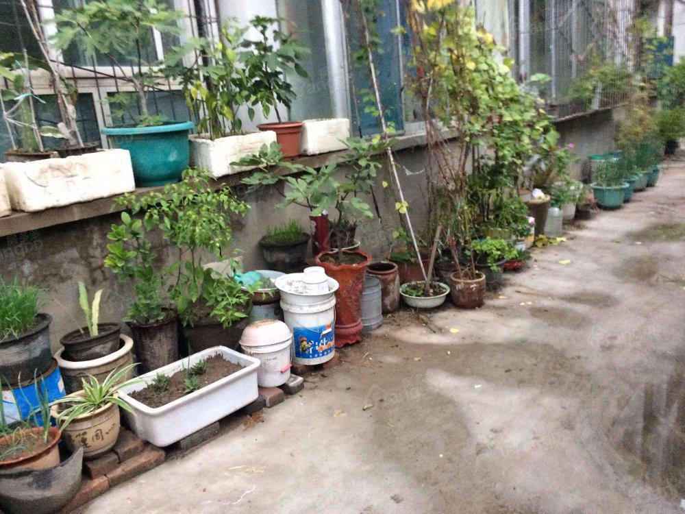 迎泽供电局宿舍小区图片